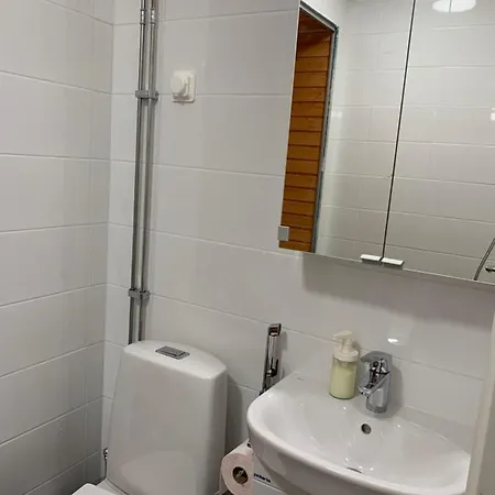 Apartment Yksioe Keskustassa Saunalla Iisalmi