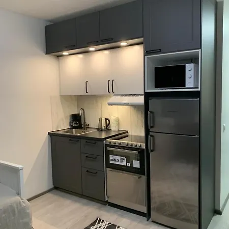 Yksioe Keskustassa Saunalla Daire *