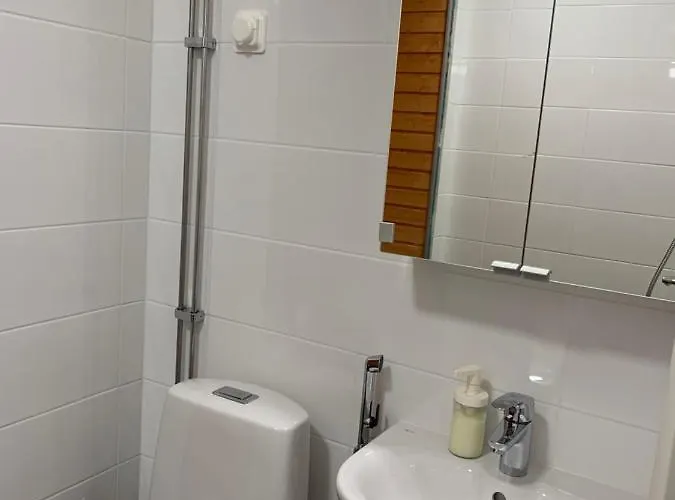 Daire Yksioe Keskustassa Saunalla Iisalmi