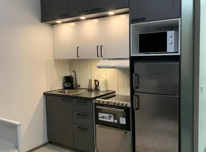 Yksioe Keskustassa Saunalla Daire *